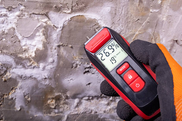 Best Mold Remediation  in Vassar College, NY