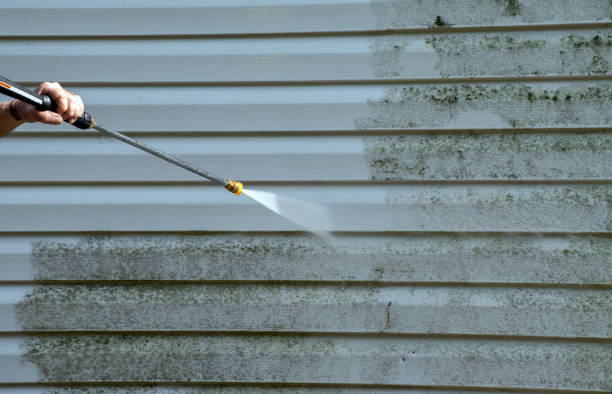 Best Mold Damage Repair  in Vassar College, NY