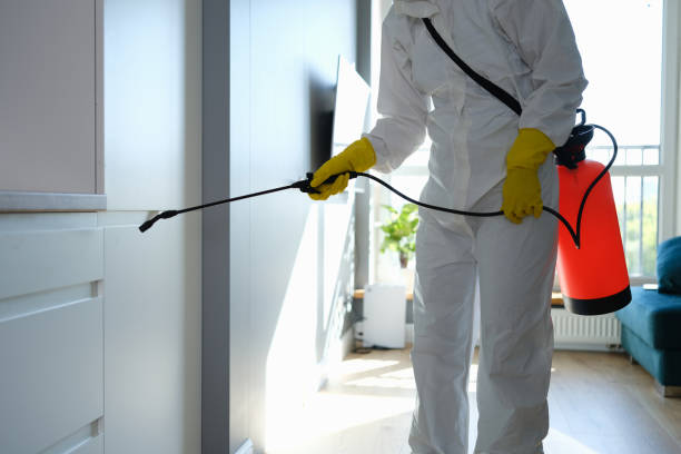 Best Commercial Mold Removal  in Vassar College, NY