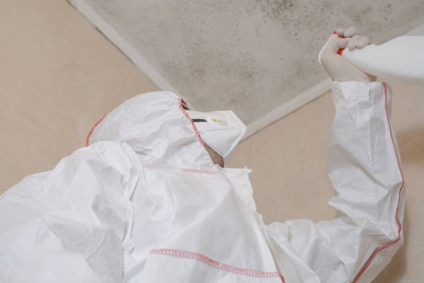 Best Fast Mold Removal  in Vassar College, NY