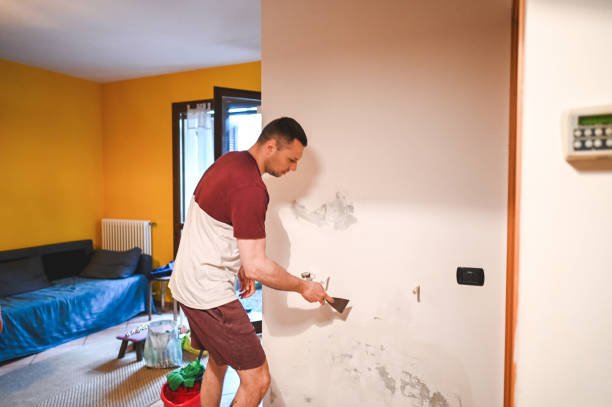 Best Mold Remediation Experts  in Vassar College, NY