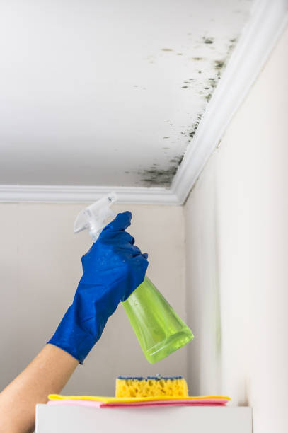 Water Damage Restoration in Vassar College, NY